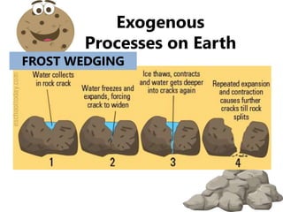 Exogenous processes on earth | PPTX