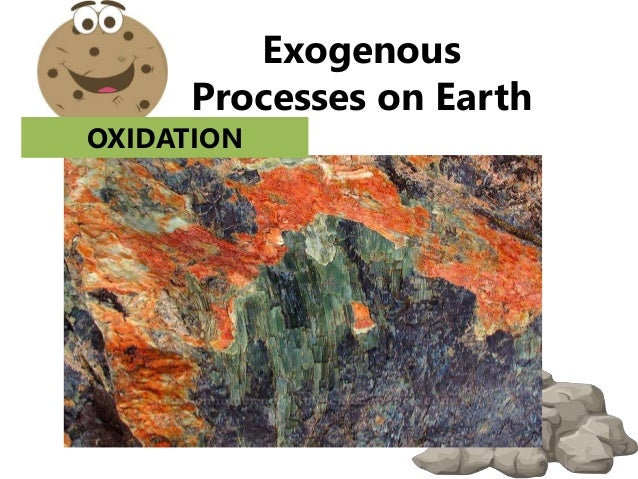 Exogenous processes on earth