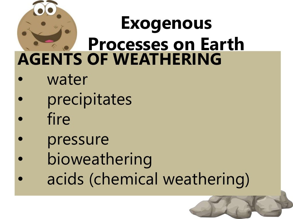 Exogenous processes on earth