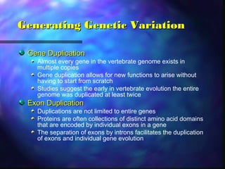 Generating Genetic VariationGenerating Genetic Variation
Gene DuplicationGene Duplication
Almost every gene in the vertebrate genome exists in
multiple copies
Gene duplication allows for new functions to arise without
having to start from scratch
Studies suggest the early in vertebrate evolution the entire
genome was duplicated at least twice
Exon DuplicationExon Duplication
Duplications are not limited to entire genes
Proteins are often collections of distinct amino acid domains
that are encoded by individual exons in a gene
The separation of exons by introns facilitates the duplication
of exons and individual gene evolution
 