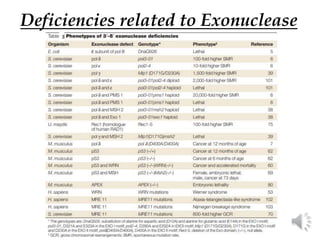 Deficiencies related to Exonuclease
3
 