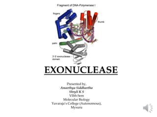 EXONUCLEASE
Presented by,
Amarthya Siddhartha
Shryli K S
VIIth Sem
Molecular Biology
Yuvaraja’s College (Autonomous),
Mysuru
 
