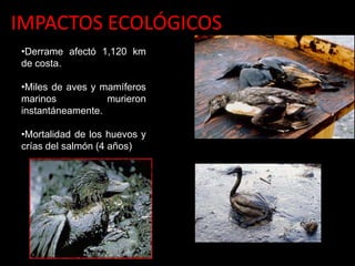 IMPACTOS ECOLÓGICOS
•Derrame afectó 1,120 km
de costa.
•Miles de aves y mamíferos
marinos murieron
instantáneamente.
•Mortalidad de los huevos y
crías del salmón (4 años)
 