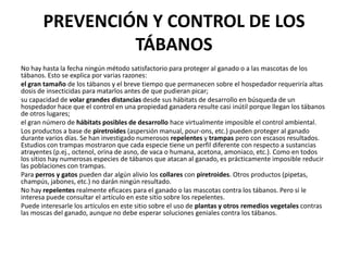PREVENCIÓN Y CONTROL DE LOS
                TÁBANOS
No hay hasta la fecha ningún método satisfactorio para proteger al ganado o a las mascotas de los
tábanos. Esto se explica por varias razones:
el gran tamaño de los tábanos y el breve tiempo que permanecen sobre el hospedador requeriría altas
dosis de insecticidas para matarlos antes de que pudieran picar;
su capacidad de volar grandes distancias desde sus hábitats de desarrollo en búsqueda de un
hospedador hace que el control en una propiedad ganadera resulte casi inútil porque llegan los tábanos
de otros lugares;
el gran número de hábitats posibles de desarrollo hace virtualmente imposible el control ambiental.
Los productos a base de piretroides (aspersión manual, pour-ons, etc.) pueden proteger al ganado
durante varios días. Se han investigado numerosos repelentes y trampas pero con escasos resultados.
Estudios con trampas mostraron que cada especie tiene un perfil diferente con respecto a sustancias
atrayentes (p.ej., octenol, orina de asno, de vaca o humana, acetona, amoniaco, etc.). Como en todos
los sitios hay numerosas especies de tábanos que atacan al ganado, es prácticamente imposible reducir
las poblaciones con trampas.
Para perros y gatos pueden dar algún alivio los collares con piretroides. Otros productos (pipetas,
champús, jabones, etc.) no darán ningún resultado.
No hay repelentes realmente eficaces para el ganado o las mascotas contra los tábanos. Pero si le
interesa puede consultar el artículo en este sitio sobre los repelentes.
Puede interesarle los artículos en este sitio sobre el uso de plantas y otros remedios vegetales contras
las moscas del ganado, aunque no debe esperar soluciones geniales contra los tábanos.
 
