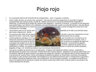 Piojo rojo
•   Es un parasito externo de la familia de los ectoparásitos, viven en grupos o colonias.
•   ¿Qué criador de aves no conoce este parasito?, este peculiar parasito sanguinario se esconde en lugares
    insospechados de nuestras jaulas, siendo de hábitos nocturnos lo cual hace prácticamente imposible su
    detención, se alimenta de la sangre de nuestras aves llegando a causarles la muerte , su tamaño es tan pequeño
    que puede llegar a ser inferior a un milímetro, con este tamaño está oculto a la vista del hombre, hay que fijarse
    muy bien para detectarlo en nuestros aviarios, en la mayoría de los casos cuando conseguimos verlos ya se han
    convertido en una plaga.
•   Las primeras aves en ser atacas son las más débiles, incluso las crías que estando en el nido y son de fácil aseso
    para estos sanguinarios ácaros.
•   Los canarios que están siendo atacados se pueden detectar por su palidez de piel, o bien por inquietud en el ave
    durante las horas nocturnas, llegando a rascarse repetitiva mente por distintas partes de su cuerpo.
•   ¿Cómo podemos averiguar si en nuestro aviario hay piojo? Pues muy fácil, por la noche con una linterna en la
    mano nos acercamos a nuestras jaulas y observamos detenida mente si hay movimiento en nuestras aves, e
    inspeccionamos las jaulas en busca de piojillo. También se puede colocar por la noche un recipiente de agua con
    unas gotas de vinagre, en el caso en que estemos infectados a la mañana siguiente encontraremos algunos
    ahogados en el agua. Otra de las formas para comprobarlo es cuando cae la noche tapamos las jaulas con un
    paño blanco y limpio, a la mañana siguiente si observamos pequeñas manchas o incluso los mismos parásitos
    pegados al trapo , no tendremos duda en que la amenaza esta presente.
•   Una de las medidas de prevención es no descuidar la higiene del habitáculo donde criamos, limpiando y
    desinfectando las jaulas muy a menudo. El baño diario de nuestros pájaros espantara a los ácaros sobre todo si en
    las bañeras además de agua echamos unas gotas de vinagre de manzana, que además dará un brillo espectacular
    a las plumas de nuestras aves. Como norma general deberemos aplicar un insecticida o acaricida a los pájaros,
    para tener la cepa siempre controlada .Este problema es muy difícil de eliminar pero si mantenemos la guardia y
    las medidas necesarias podemos evitar una proliferación. Os recomiendo mantener una vigilancia continua ya
    que en la mayoría de las ocasiones cuando nos damos cuenta que están entre nuestras aves es muy tarde y nos
    cuesta deshacernos de ellos.
 