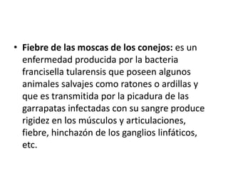 • Fiebre de las moscas de los conejos: es un
  enfermedad producida por la bacteria
  francisella tularensis que poseen algunos
  animales salvajes como ratones o ardillas y
  que es transmitida por la picadura de las
  garrapatas infectadas con su sangre produce
  rigidez en los músculos y articulaciones,
  fiebre, hinchazón de los ganglios linfáticos,
  etc.
 