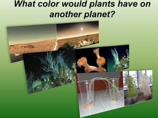 What color would plants have on
another planet?
 