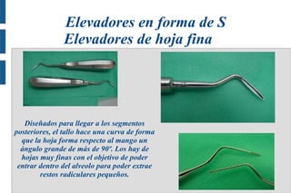 .

.

Elevadores en forma de S
Elevadores de hoja fina

Diseñados para llegar a los segmentos
posteriores, el tallo hace una curva de forma
que la hoja forma respecto al mango un
ángulo grande de más de 90º. Los hay de
hojas muy finas con el objetivo de poder
entrar dentro del alveolo para poder extrae
restos radiculares pequeños.

.

.

 
