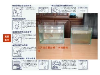實驗影片 三天後自動分解 ~ 水箱變乾淨 