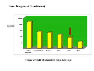 Insect Integument (Exoskeleton)

100000

kg/mm2

10000

1000

100

10

1
Carbon
nanotubes

Graphite fibres

Kevlar

Steel

Chitin

Tensile strength of sclerotized chitin (sclerotin)

Bone

 