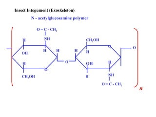 Insect Integument (Exoskeleton)
N - acetylglucosamine polymer
O = C - CH2

H

NH

CH2OH
O

OH

H

H

H
O

H

O

H
OH

H

H

NH

O
CH2OH

O = C - CH2

n

 