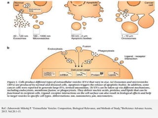 10
Ref.: Zaborowski Mikołaj P. “Extracellular Vesicles: Composition, Biological Relevance, and Methods of Study,”BioScience Advance Access,
2015. Vol.20.1-15.
 