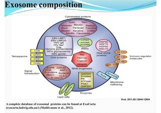 Exosomes lecture | PDF