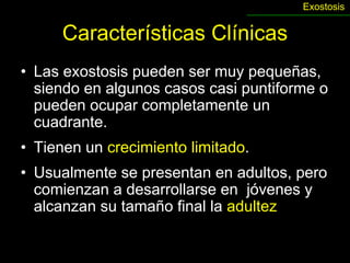 Exostosis


      Características Clínicas
• Las exostosis pueden ser muy pequeñas,
  siendo en algunos casos casi puntiforme o
  pueden ocupar completamente un
  cuadrante.
• Tienen un crecimiento limitado.
• Usualmente se presentan en adultos, pero
  comienzan a desarrollarse en jóvenes y
  alcanzan su tamaño final la adultez
 