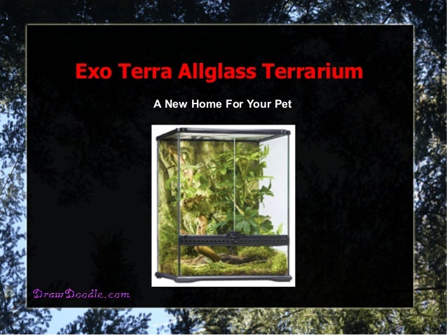 Exo Terra Allglass Terrarium
A New Home For Your Pet
 