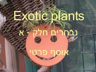 Exotic plants נבחרים חלק  -  א אוסף פרטי 