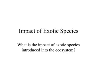 Impact of Exotic Species What is the impact of exotic species introduced into the ecosystem? 