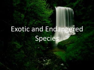 Exotic and Endangered
Species
 