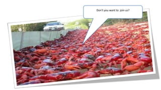 Don’t you want to join us?
 