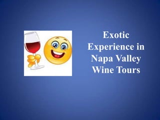 Exotic Experience in Napa Valley Wine Tours 