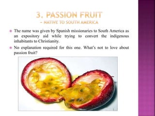  The name was given by Spanish missionaries to South America as
an expository aid while trying to convert the indigenous
inhabitants to Christianity.
 No explanation required for this one. What’s not to love about
passion fruit?
 