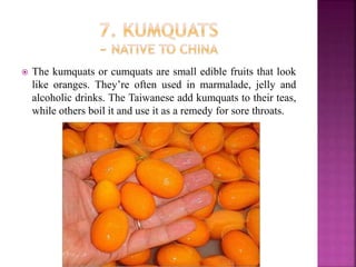  The kumquats or cumquats are small edible fruits that look
like oranges. They’re often used in marmalade, jelly and
alcoholic drinks. The Taiwanese add kumquats to their teas,
while others boil it and use it as a remedy for sore throats.
 