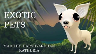 EXOTIC
PETS
MADE BY: HARSHVARDHAN
KATHURIA
 