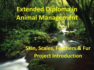 Extended Diploma in 
Animal Management 
Skin, Scales, Feathers & Fur 
Project Introduction 
 