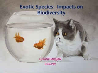 Exotic Species - Impacts on
Biodiversity
G. KANTHARAJAN
ICAR-CIFE
 