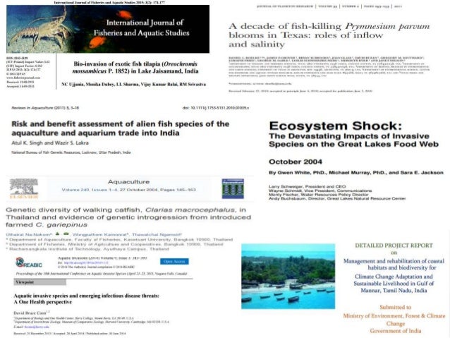 Exotic species - impact on biodiversity