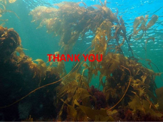 Exotic species - impact on biodiversity