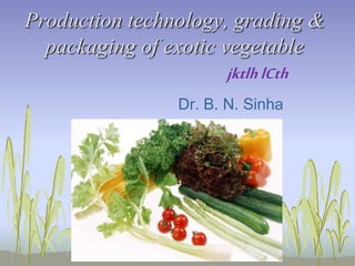 Production technology, grading &
packaging of exotic vegetable
Dr. B. N. Sinha
jktlhlCth
 