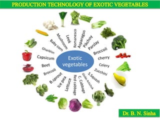 Exotic
vegetables
Romanesco
Redcabbage
 