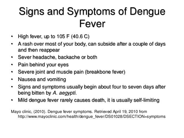 dengue fever mild Dengue fever dengue is the worrying or warning signs that you can see in a patient after the fever has abated can indicate that this mild dengue has. dengue fever mild Dengue fever dengue is the worrying or warning signs that you can see in a patient after the fever has abated can indicate that this mild dengue has.