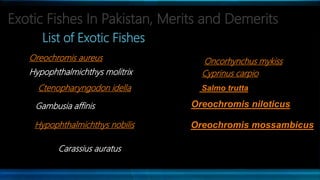 Exotic fishes,merits and demerits,  Pakistan