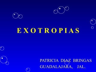EXOTROPIAS



   PATRICIA DIAZ BRINGAS
   GUADALAJARA, JAL.
 