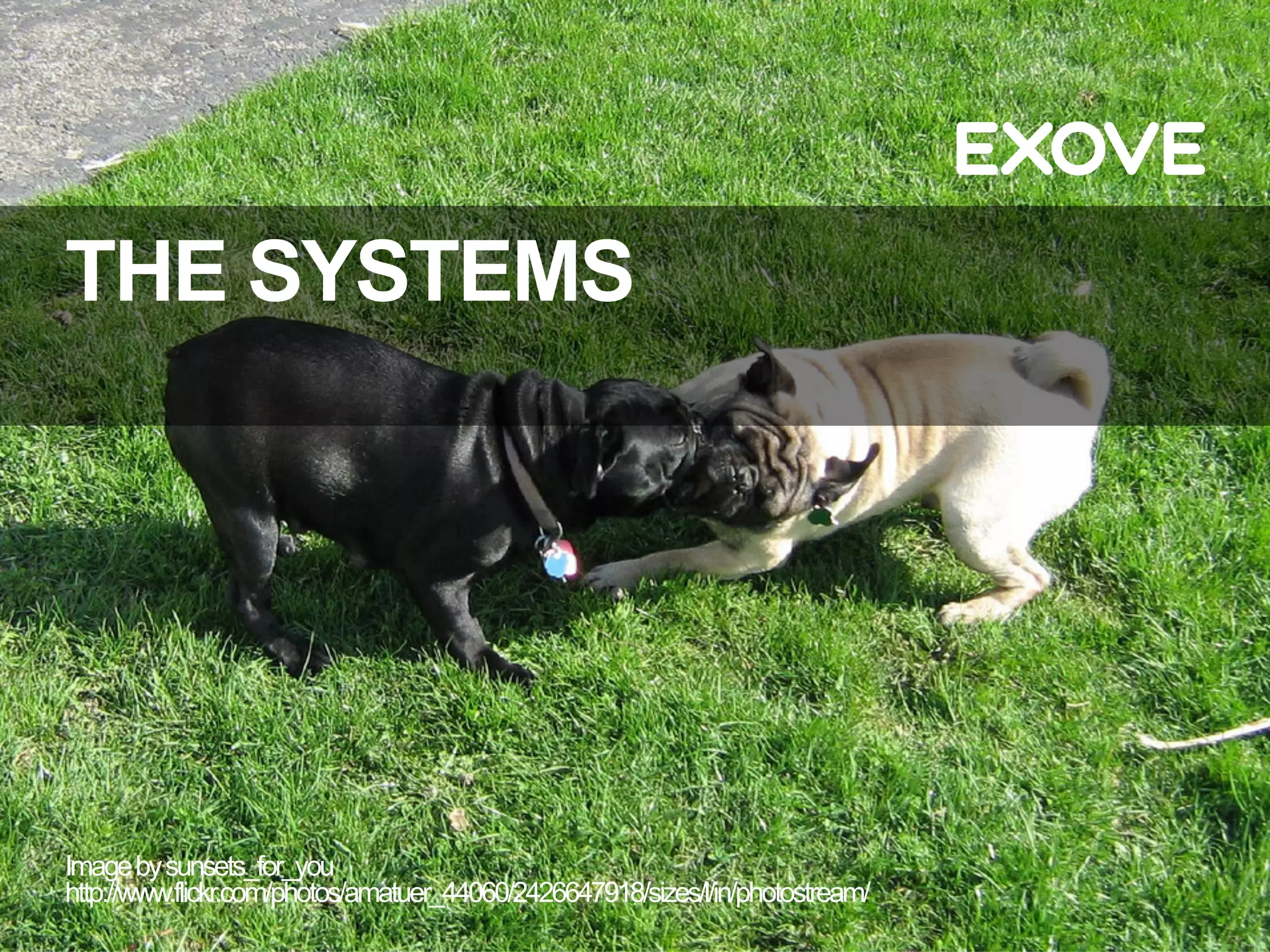 THE SYSTEMS




Image by sunsets_for_you
http://www.flickr.com/photos/amatuer_44060/2426647918/sizes/l/in/photostream/
 