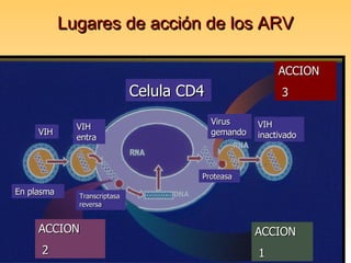Lugares de acción de los ARV Celula CD4 VIH En plasma VIH entra Transcriptasa reversa ACCION 2 ACCION 1 ACCION 3 Proteasa Virus gemando VIH inactivado 