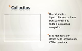 *
    *Queratinocitos
     hipertrofiados con halos
     transparentes que
     rodean los núcleos
     arrugados


    *Es la manifestación
     clásica de la infección por
     VPH en la célula.
 