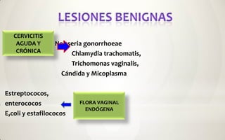 CERVICITIS
    AGUDA Y       Neisseria gonorrhoeae
    CRÓNICA            Chlamydia trachomatis,
                       Trichomonas vaginalis,
                    Cándida y Micoplasma

Estreptococos,
enterococos              FLORA VAGINAL
                           ENDÓGENA
E,coli y estafilococos
 