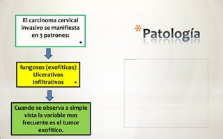 El carcinoma cervical
  invasivo se manifiesta
       en 3 patrones:        *
 fungosos (exofíticos)
     Ulcerativos
     Infiltrativos



Cuando se observa a simple
   vista la variable mas
  frecuente es el tumor
         exofitico.
 