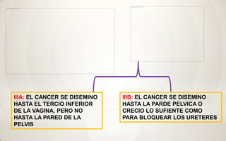 IIIA: EL CANCER SE DISEMINO   IIIB: EL CANCER SE DISEMINO
HASTA EL TERCIO INFERIOR      HASTA LA PARDE PELVICA O
DE LA VAGINA, PERO NO         CRECIO LO SUFIENTE COMO
HASTA LA PARED DE LA          PARA BLOQUEAR LOS URETERES
PELVIS
 