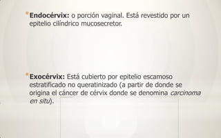 * Endocérvix: o porción vaginal. Está revestido por un
 epitelio cilíndrico mucosecretor.




* Exocérvix: Está cubierto por epitelio escamoso
 estratificado no queratinizado (a partir de donde se
 origina el cáncer de cérvix donde se denomina carcinoma
 en situ).
 