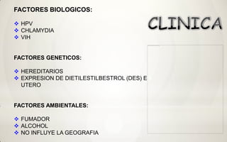 FACTORES BIOLOGICOS:

 HPV
 CHLAMYDIA
 VIH


FACTORES GENETICOS:

 HEREDITARIOS
 EXPRESION DE DIETILESTILBESTROL (DES) EN
  UTERO


FACTORES AMBIENTALES:

 FUMADOR
 ALCOHOL
 NO INFLUYE LA GEOGRAFIA
 