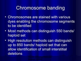 Chromosome banding
• Chromosomes are stained with various
dyes enabling the chromosome segments
to be identified
• Most methods can distinguish 550 bands/
haploid set
• High resolution methods can distinguish
up to 850 bands/ haploid set that can
allow identification of small interstitial
deletions
Mazen Zaharna Molecular
Biology 1/2009

 