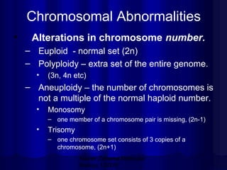 Chromosomal Abnormalities
•

Alterations in chromosome number.
– Euploid - normal set (2n)
– Polyploidy – extra set of the entire genome.
•

(3n, 4n etc)

– Aneuploidy – the number of chromosomes is
not a multiple of the normal haploid number.
•

Monosomy
– one member of a chromosome pair is missing, (2n-1)

•

Trisomy
– one chromosome set consists of 3 copies of a
chromosome, (2n+1)
Mazen Zaharna Molecular
Biology 1/2009

 