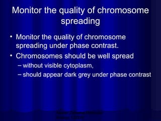 Monitor the quality of chromosome
spreading
• Monitor the quality of chromosome
spreading under phase contrast.
• Chromosomes should be well spread
– without visible cytoplasm,
– should appear dark grey under phase contrast

Mazen Zaharna Molecular
Biology 1/2009

 