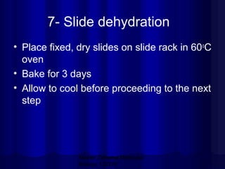 7- Slide dehydration
• Place fixed, dry slides on slide rack in 60 oC
oven
• Bake for 3 days
• Allow to cool before proceeding to the next
step

Mazen Zaharna Molecular
Biology 1/2009

 