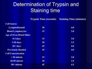 Determination of Trypsin and
Staining time
Trypsin Time (seconds)

Staining Time (minutes)

Lymphoblastoid

30

4.0

Blood Lymphocytes

15

3.0

0-3 days

15

3.0

3-20 days

30

3.5

20+ days

45

4.0

Previously Banded

45

4.0

< 20 mitosis

15

3.0

20-50 mitosis

30

3.5

Cell Source

Age of Oven Dried Slides

Cell Concentration

50+ mitosis

Mazen Zaharna Molecular
45
Biology 1/2009

4.5

 