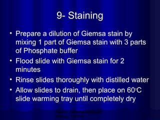 9- Staining
• Prepare a dilution of Giemsa stain by
mixing 1 part of Giemsa stain with 3 parts
of Phosphate buffer
• Flood slide with Giemsa stain for 2
minutes
• Rinse slides thoroughly with distilled water
• Allow slides to drain, then place on 60 oC
slide warming tray until completely dry
Mazen Zaharna Molecular
Biology 1/2009

 